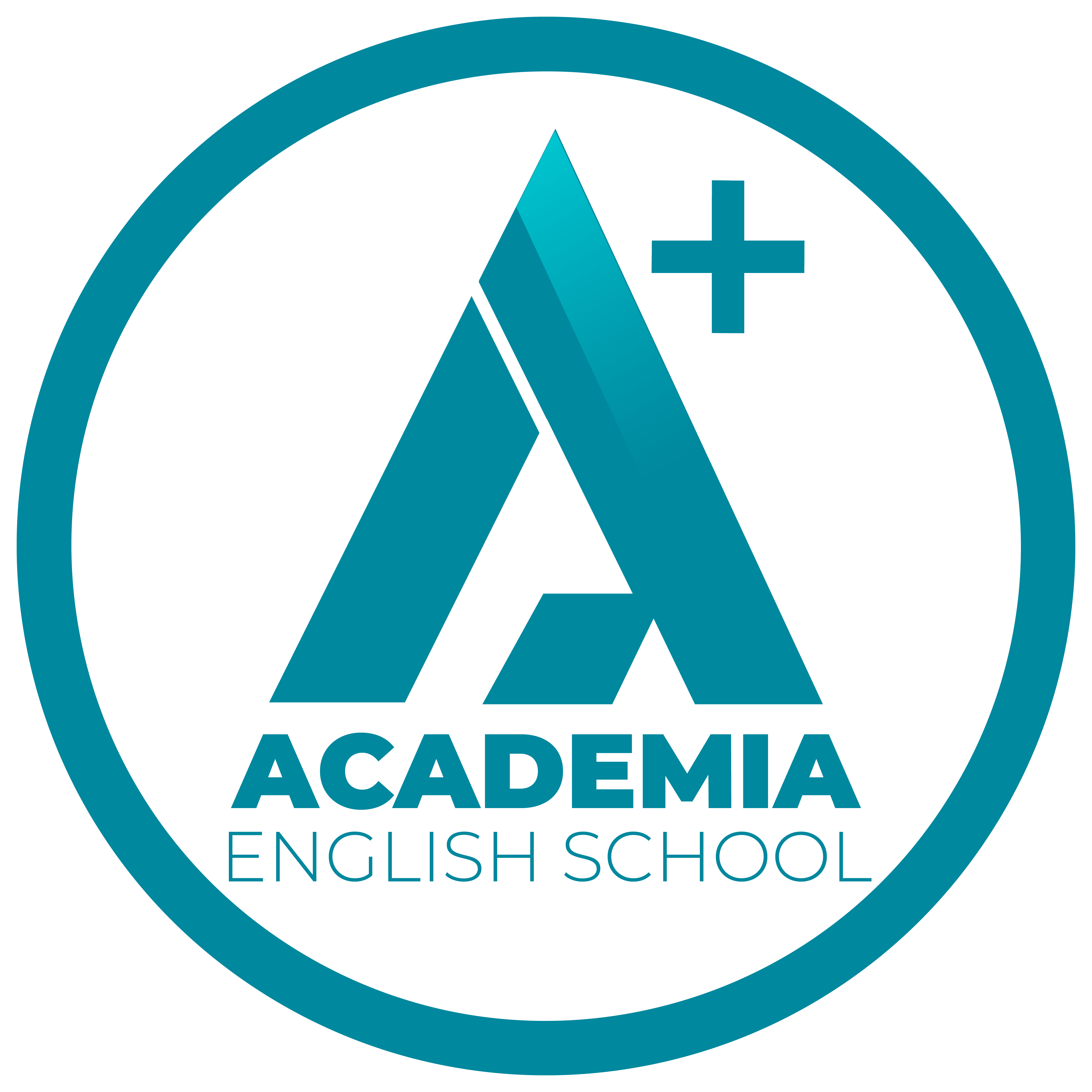 Academia English School