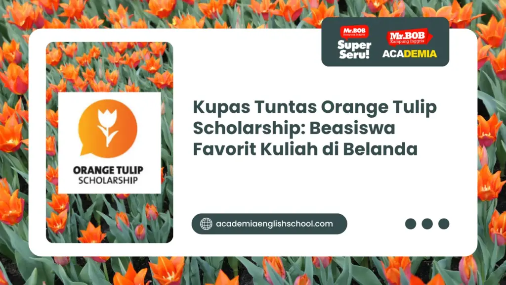 orange tulip scholarship