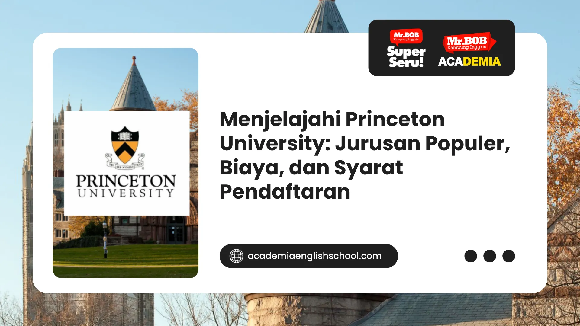 princeton university